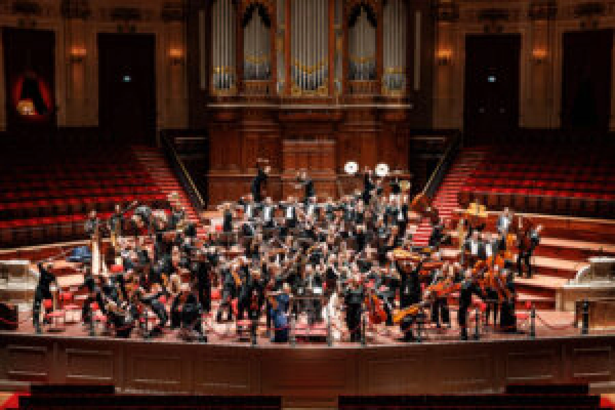 Nederlands Studenten Orkest